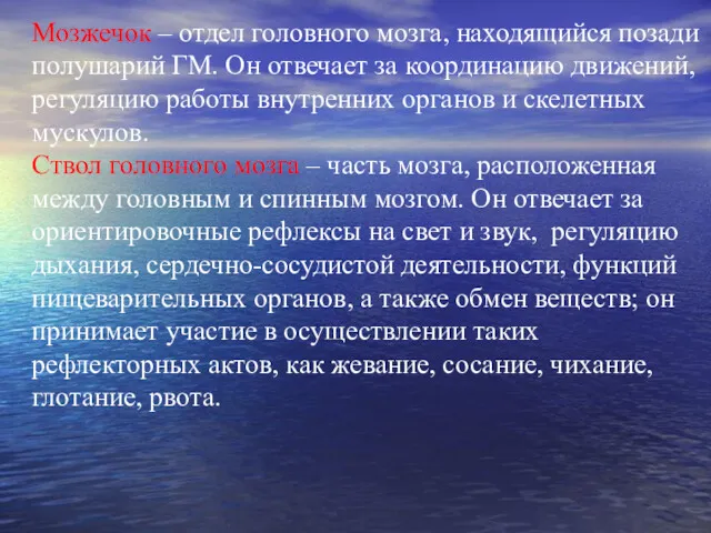 Мозжечок – отдел головного мозга, находящийся позади полушарий ГМ. Он