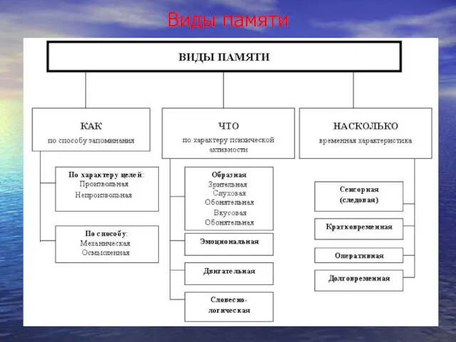 Виды памяти