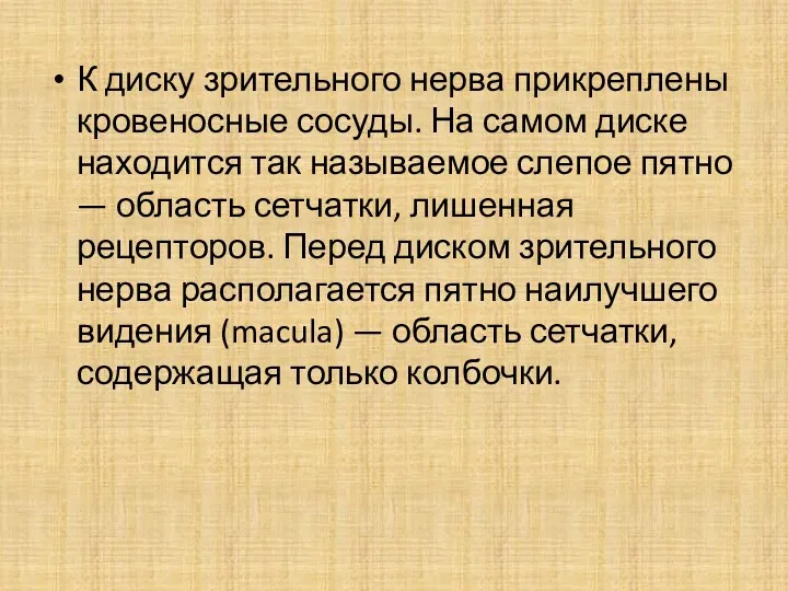 К диску зрительного нерва прикреплены кровеносные сосуды. На самом диске