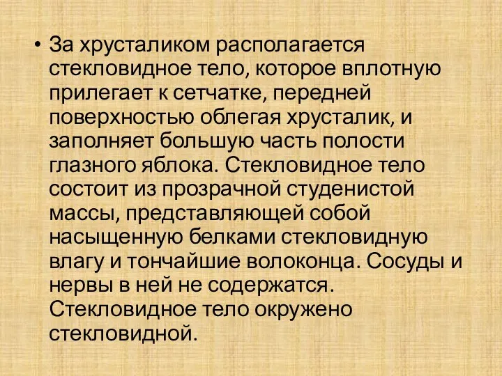 За хрусталиком располагается стекловидное тело, которое вплотную прилегает к сетчатке,