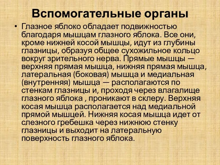 Вспомогательные органы Глазное яблоко обладает подвижностью благодаря мышцам глазного яблока.