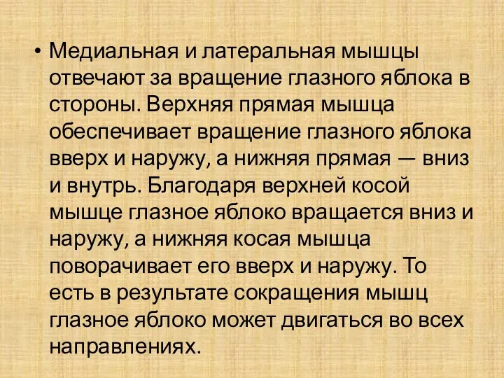 Медиальная и латеральная мышцы отвечают за вращение глазного яблока в