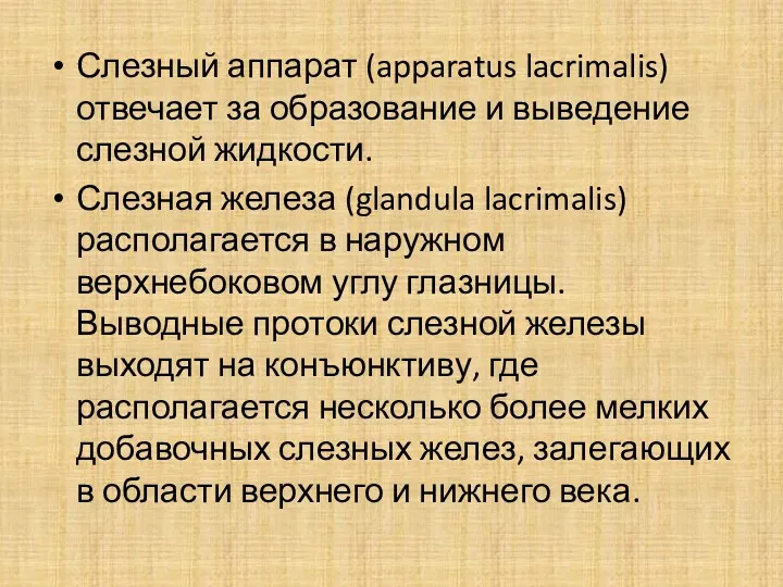 Слезный аппарат (apparatus lacrimalis) отвечает за образование и выведение слезной