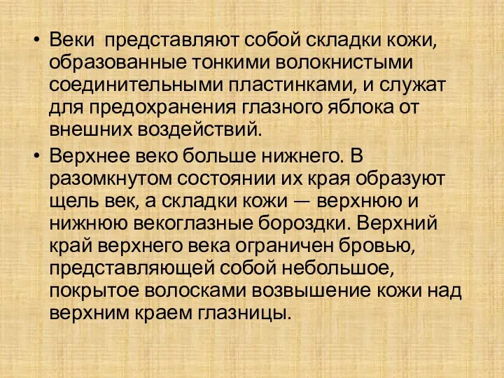 Веки представляют собой складки кожи, образованные тонкими волокнистыми соединительными пластинками,