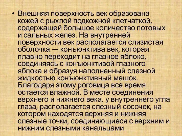 Внешняя поверхность век образована кожей с рыхлой подкожной клетчаткой, содержащей