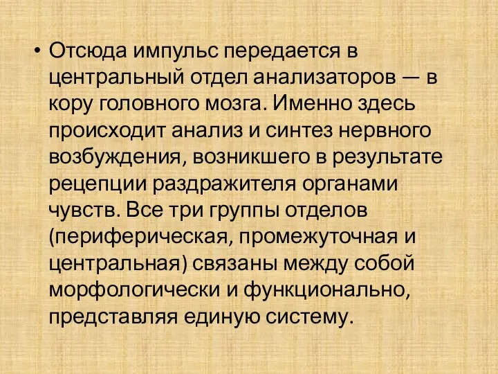 Отсюда импульс передается в центральный отдел анализаторов — в кору