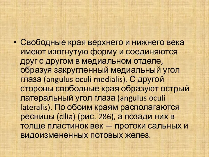 Свободные края верхнего и нижнего века имеют изогнутую форму и