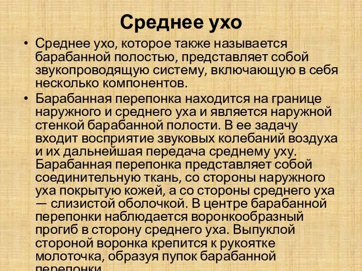 Среднее ухо Среднее ухо, которое также называется барабанной полостью, представляет