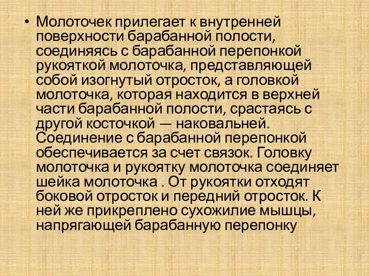 Молоточек прилегает к внутренней поверхности барабанной полости, соединяясь с барабанной