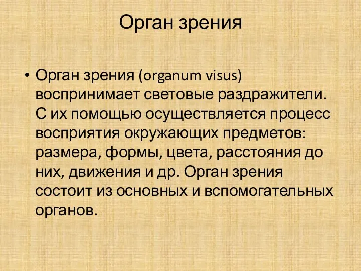 Орган зрения Орган зрения (organum visus) воспринимает световые раздражители. С