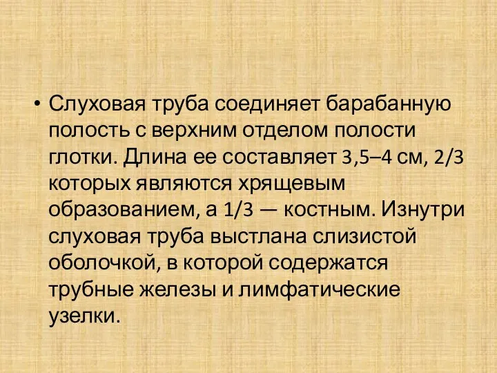 Слуховая труба соединяет барабанную полость с верхним отделом полости глотки.