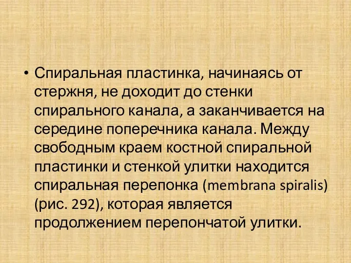 Спиральная пластинка, начинаясь от стержня, не доходит до стенки спирального