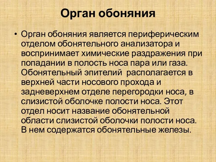 Орган обоняния Орган обоняния является периферическим отделом обонятельного анализатора и