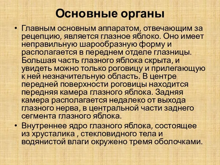 Основные органы Главным основным аппаратом, отвечающим за рецепцию, является глазное