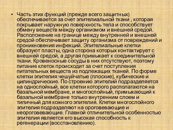 Часть этих функций (прежде всего защитных) обеспечивается за счет эпителиальной