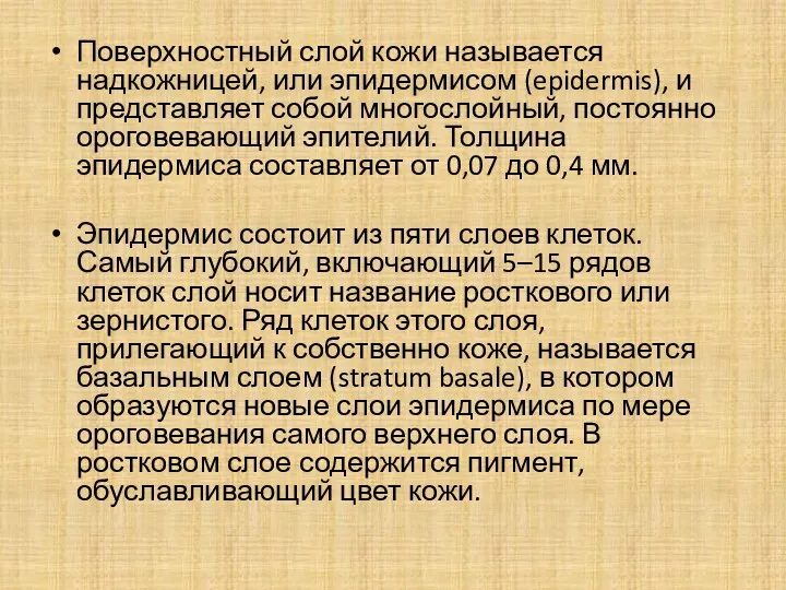 Поверхностный слой кожи называется надкожницей, или эпидермисом (epidermis), и представляет