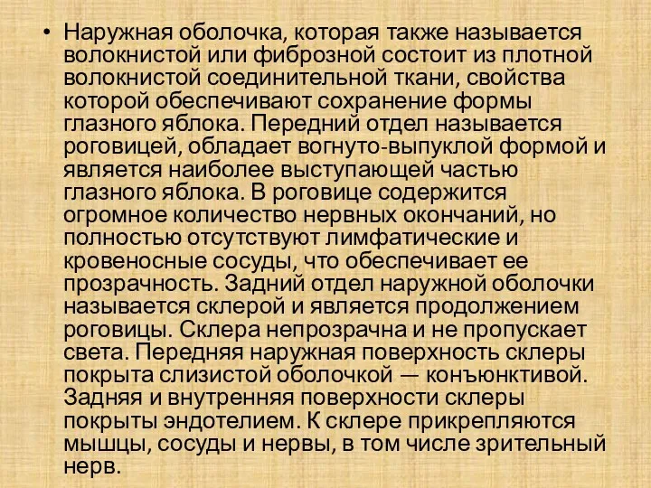 Наружная оболочка, которая также называется волокнистой или фиброзной состоит из