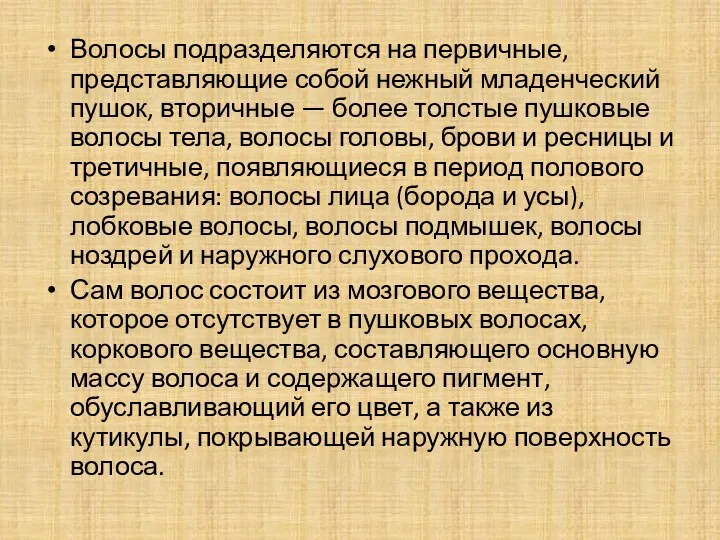 Волосы подразделяются на первичные, представляющие собой нежный младенческий пушок, вторичные