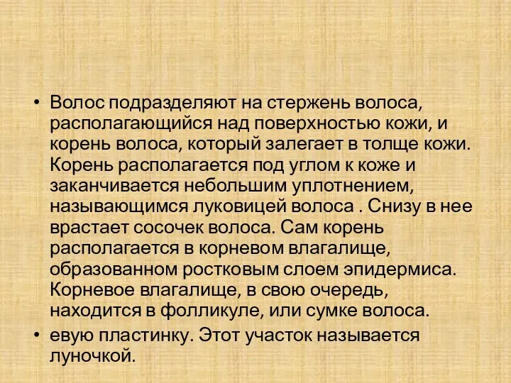 Волос подразделяют на стержень волоса, располагающийся над поверхностью кожи, и