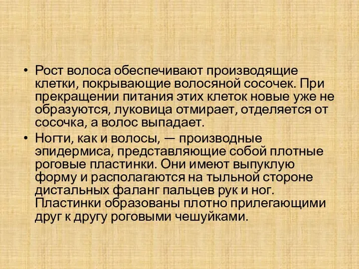 Рост волоса обеспечивают производящие клетки, покрывающие волосяной сосочек. При прекращении