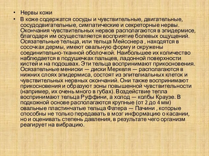 Нервы кожи В коже содержатся сосуды и чувствительные, двигательные, сосудодвигательные,