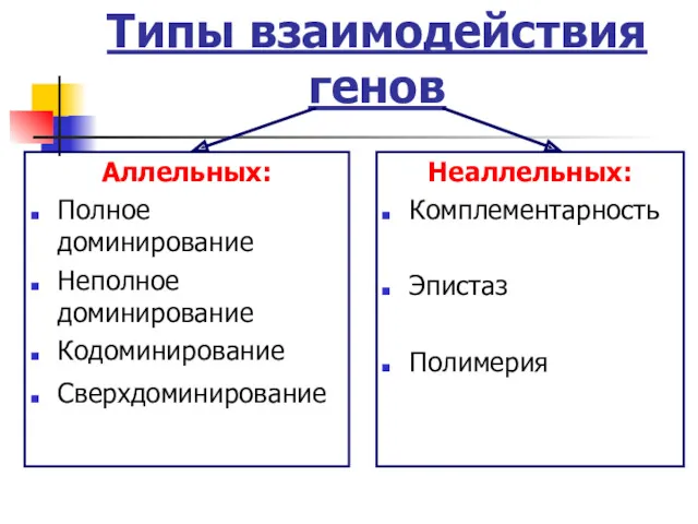 Типы взаимодействия генов Аллельных: Полное доминирование Неполное доминирование Кодоминирование Сверхдоминирование Неаллельных: Комплементарность Эпистаз Полимерия