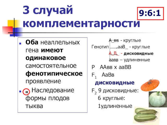 3 случай комплементарности Оба неаллельных гена имеют одинаковое самостоятельное фенотипическое