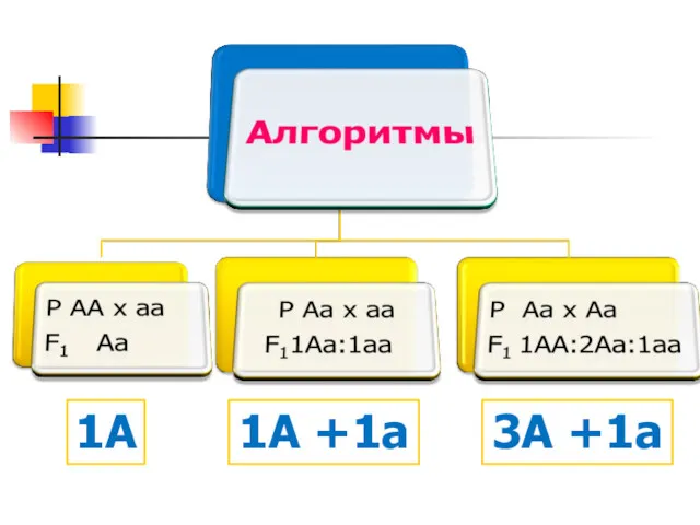 1A 1A +1a 3A +1a