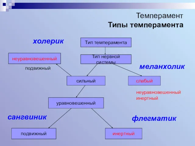 Темперамент Типы темперамента Тип темперамента Тип нервной системы слабый сильный неуравновешенный подвижный инертный