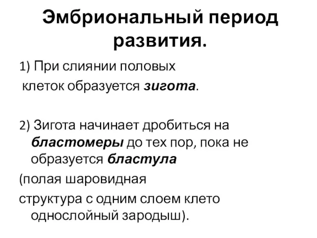 Эмбриональный период развития. 1) При слиянии половых клеток образуется зигота.