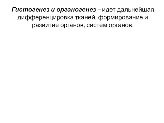 Гистогенез и органогенез – идет дальнейшая дифференцировка тканей, формирование и развитие органов, систем органов.