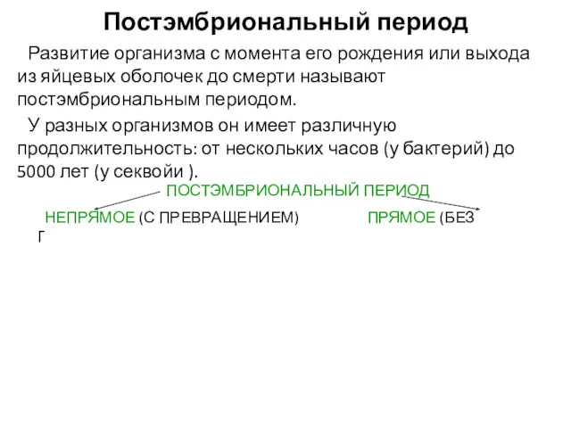 Постэмбриональный период Развитие организма с момента его рождения или выхода из яйцевых оболочек