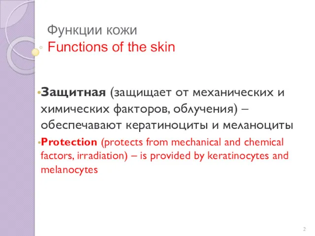 Функции кожи Functions of the skin Защитная (защищает от механических