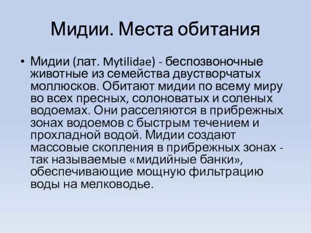 Мидии. Места обитания Мидии (лат. Mytilidae) - беспозвоночные животные из