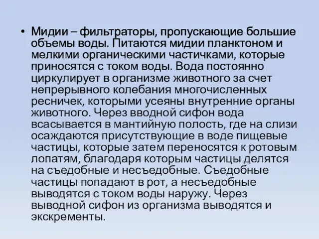 Мидии – фильтраторы, пропускающие большие объемы воды. Питаются мидии планктоном