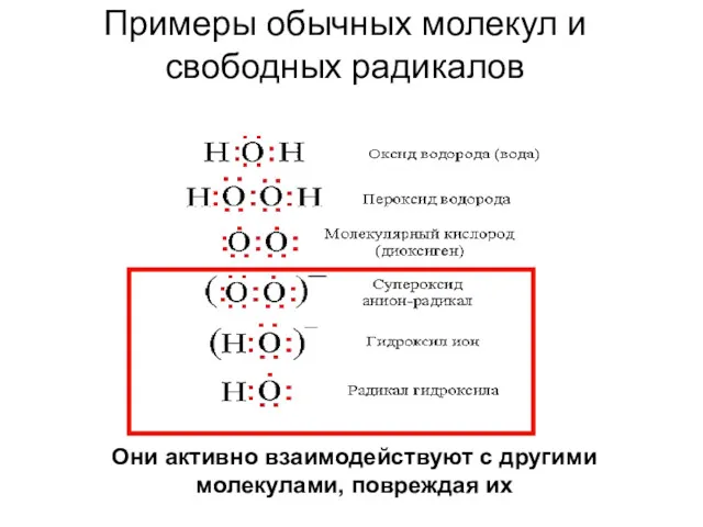 Примеры обычных молекул и свободных радикалов Они активно взаимодействуют с другими молекулами, повреждая их