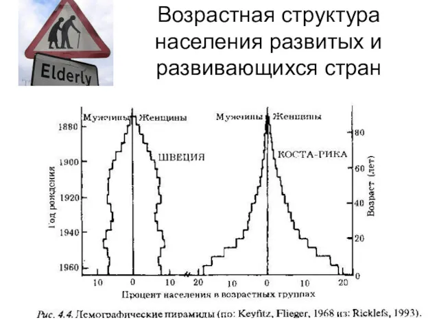 Возрастная структура населения развитых и развивающихся стран