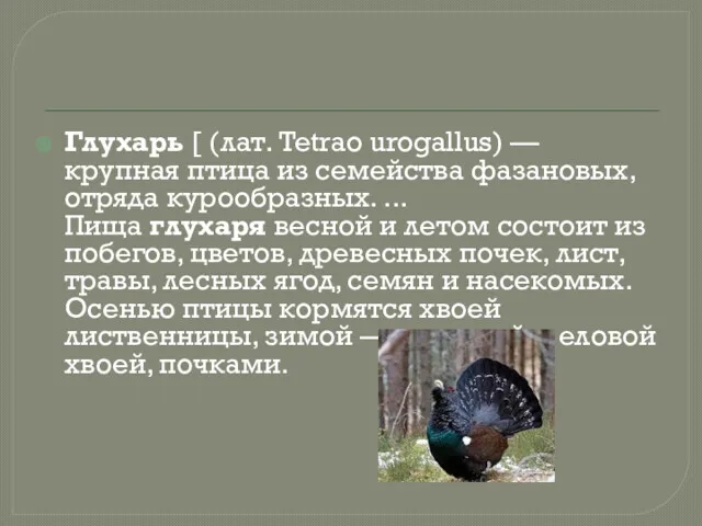 Глухарь [ (лат. Tetrao urogallus) — крупная птица из семейства