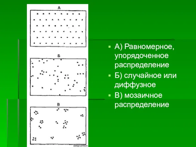 А) Равномерное, упорядоченное распределение Б) случайное или диффузное В) мозаичное распределение