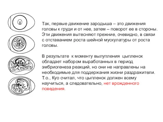 Так, первые движение зародыша – это движения головы к груди