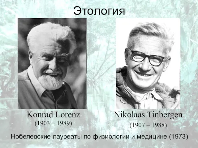 Этология Konrad Lorenz (1903 – 1989) Nikolaas Tinbergen (1907 –