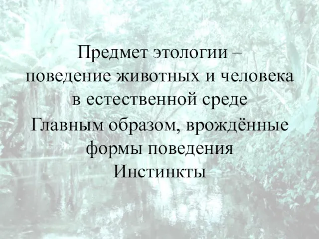 Предмет этологии – поведение животных и человека в естественной среде Главным образом, врождённые формы поведения Инстинкты