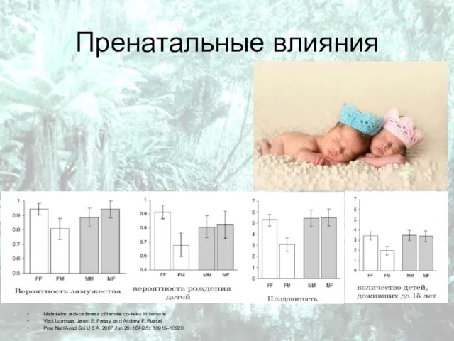 Пренатальные влияния Male twins reduce fitness of female co-twins in