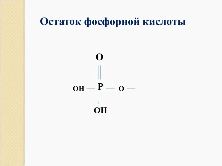 Остаток фосфорной кислоты P O O OH OH