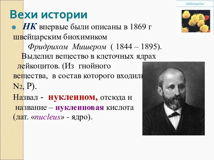 Вехи истории НК впервые были описаны в 1869 г швейцарским биохимиком Фридрихом Мишером