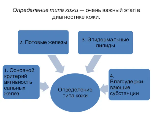 Определение типа кожи — очень важный этап в диагностике кожи.