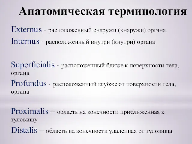 Анатомическая терминология Externus – расположенный снаружи (кнаружи) органа Internus –