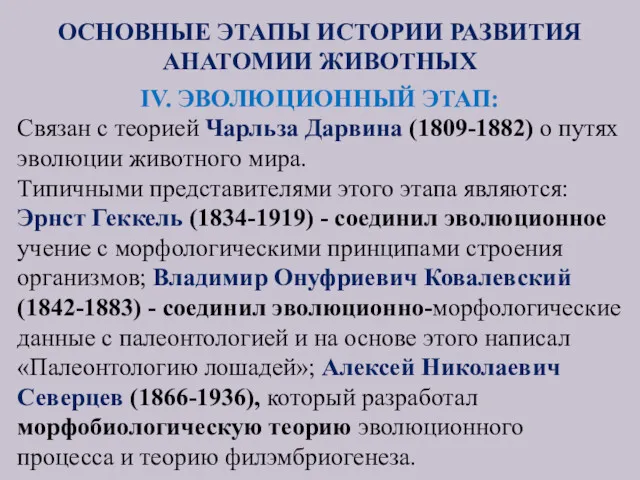 ОСНОВНЫЕ ЭТАПЫ ИСТОРИИ РАЗВИТИЯ АНАТОМИИ ЖИВОТНЫХ IV. ЭВОЛЮЦИОННЫЙ ЭТАП: Cвязан