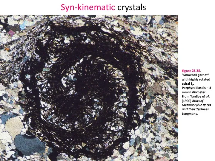 Syn-kinematic crystals Figure 23.38. “Snowball garnet” with highly rotated spiral