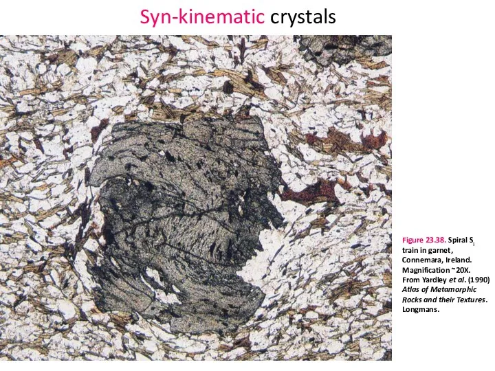 Syn-kinematic crystals Figure 23.38. Spiral Si train in garnet, Connemara,